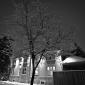 a snowfall in oakhill