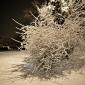 a snowfall in oakhill