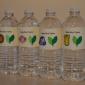 Baby Boy Taylor Water Bottles